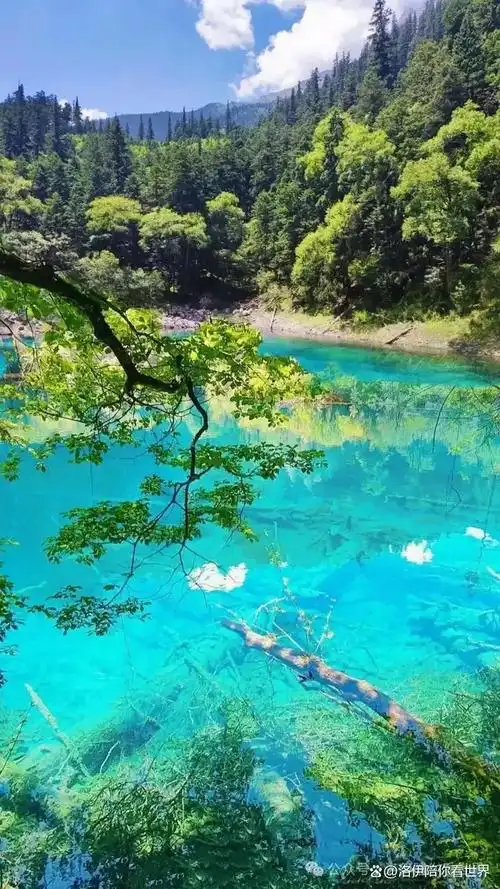 全国各地