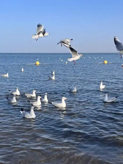 博斯腾湖