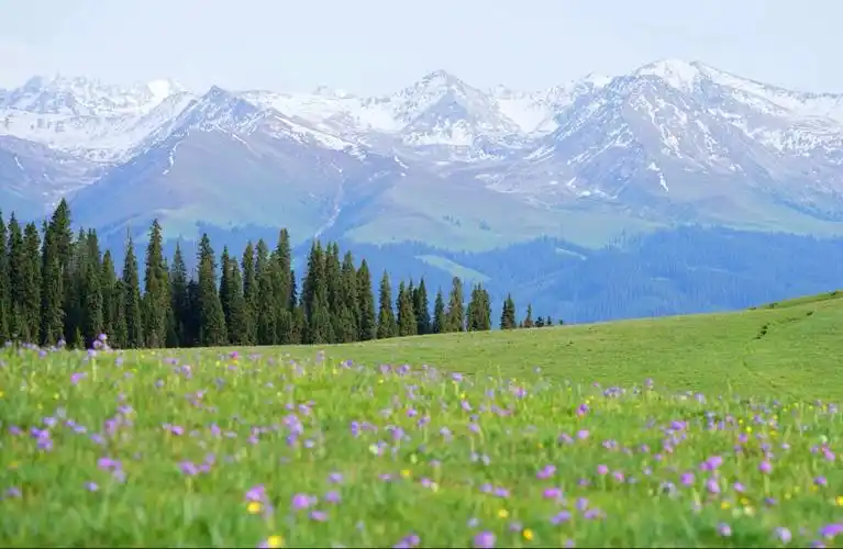 喀拉峻鲜花台