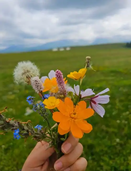 喀拉峻鲜花台