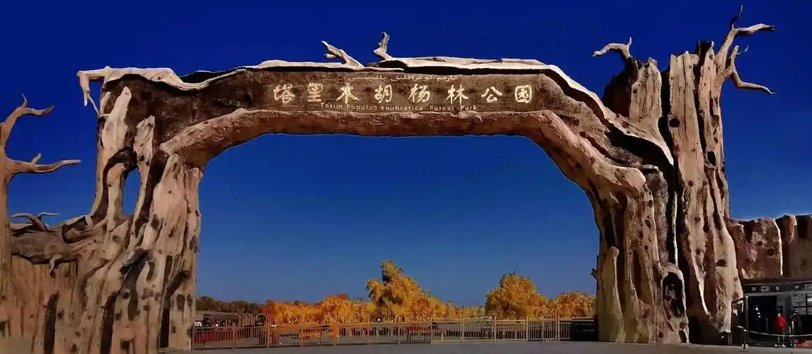 塔里木胡杨林公园