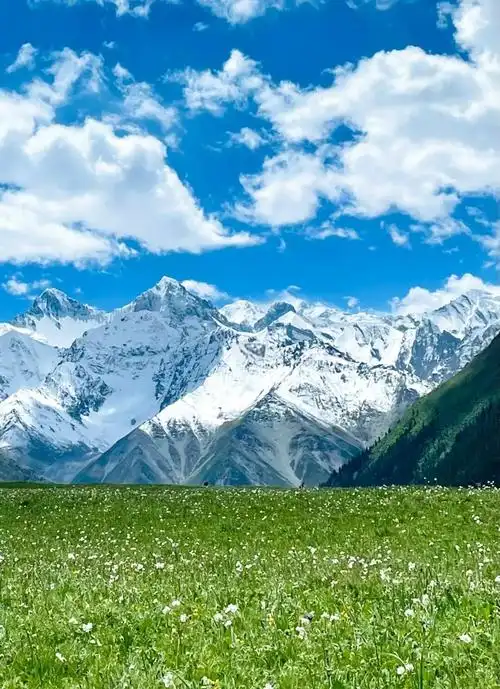 夏塔