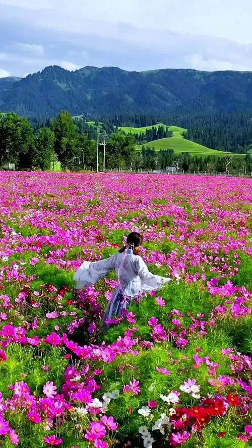 花海那拉提