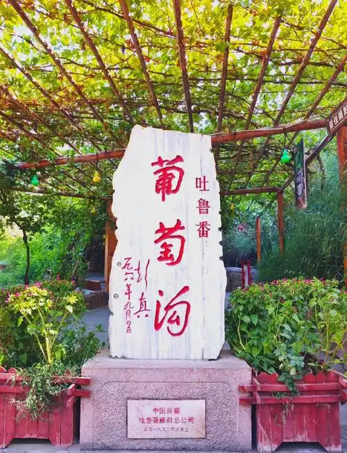 葡萄沟