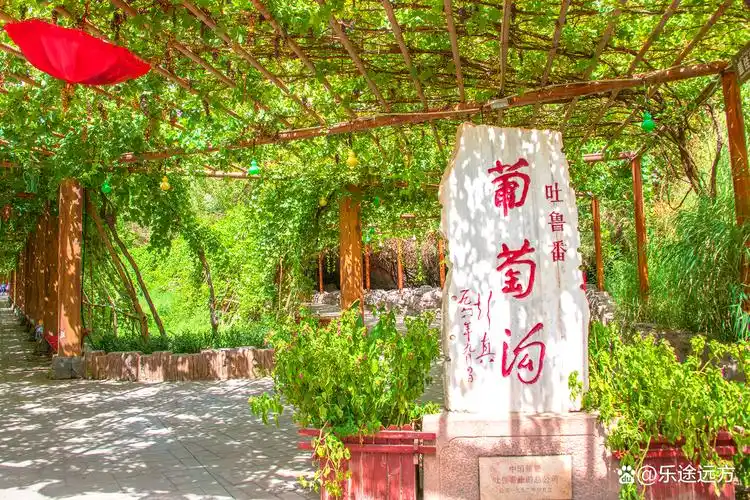 葡萄沟