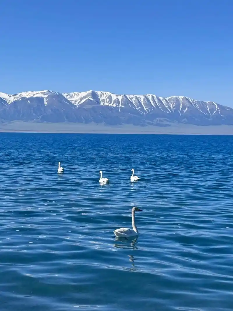 賽里木湖