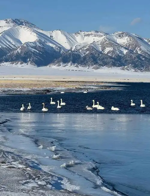 赛里木湖环湖