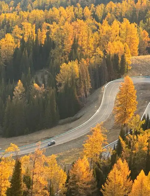 阿禾公路