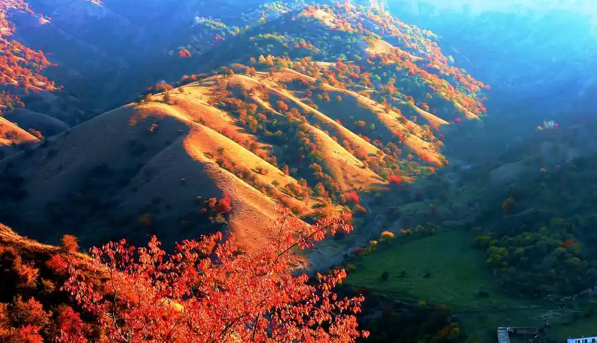 霍城县