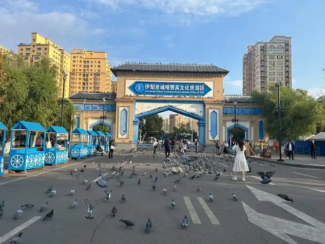 伊宁奥达
